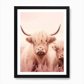 Portrait Of Two Highland Cows In The Field Pink Realistic Photography 1 Art Print