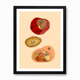Abstract Chestnuts On Peach Fuzz Art Print