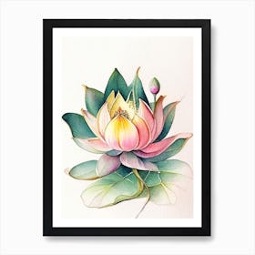 Lotus Flower, Buddhist Symbol Watercolour Ink Pencil 1 Art Print