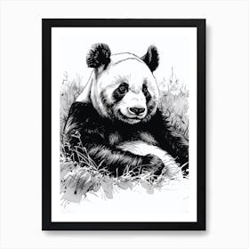 Giant Panda Resting In A Field Ink Illustration 2 Art Print