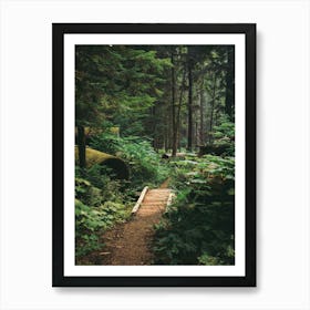 A Walk in the Woods II Art Print