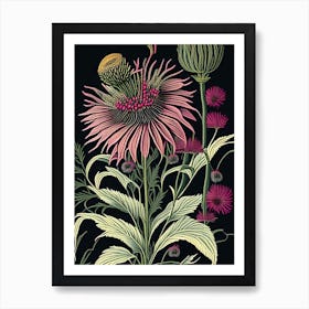 Echinacea 2 Floral Botanical Vintage Poster Flower Art Print