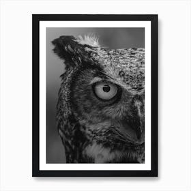 Owl Bird Art Print