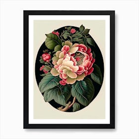Camellia 2 Floral Botanical Vintage Poster Flower Art Print