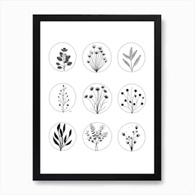 Collection Of Plants In Black And White Line Art 1 Art Print