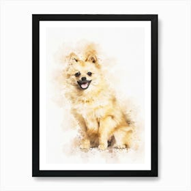 Pomeranian Dog 3 Art Print