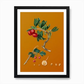 Vintage Red Thorn-Apple Botanical on Sunset Orange Art Print