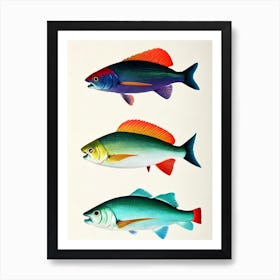 Rainbow Shark Vintage Poster Art Print