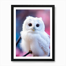 Close Up Of A White Owl With Down Soft Feathers Perched Gently On A Black Twig Smile Visible Larg Art Print