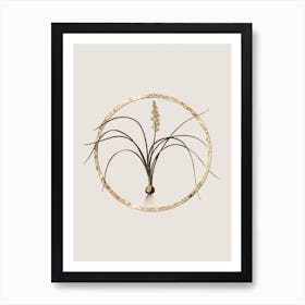 Gold Ring Lachenalia Angustifolia Glitter Botanical Illustration n.0245 Art Print