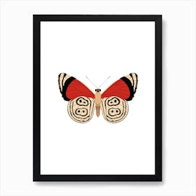 Tiger Moth Art Print