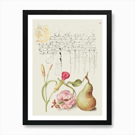 Carnation, Martagon Lily, And Pear From Mira Calligraphiae Monumenta, Joris Hoefnagel Art Print