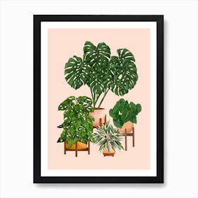 Indoor Plants 5 Art Print