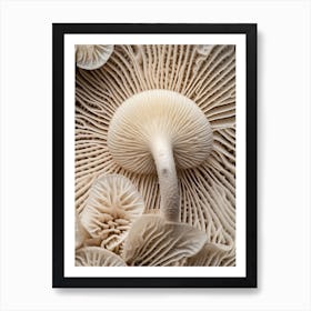 Mushroom Photography 6 Art Print