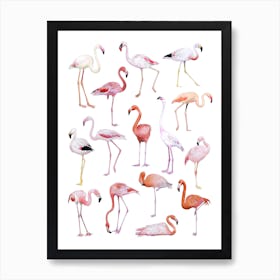 Flamingos Art Print