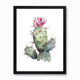 Crown Of Thorns Cactus Watercolour Drawing 1 Art Print
