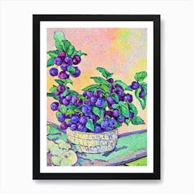 Marionberry Vintage Sketch Fruit Art Print