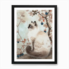Ragdoll Cat Japanese Illustration 4 Art Print