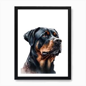 Rottweiler Dog Art Print