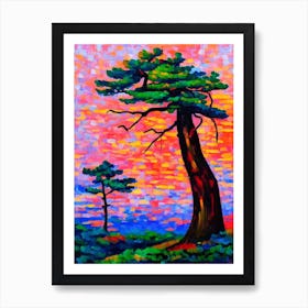 Japanese Red Pine Tree Cubist Art Print