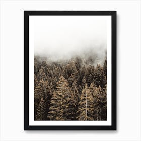 Tall Pine Trees Art Print