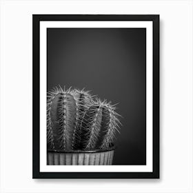 Black and white botanical cactus - moody and dark plant - fall and winter photography by Christa Stroo Photography Art Print