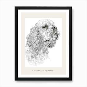 Clumber Spaniel Dog Line Sketch 3 Poster Art Print