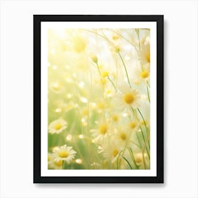 Daisy Field With Sunlight Art Print