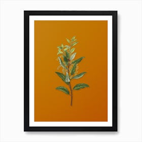 Vintage Evergreen Oak Botanical on Sunset Orange Art Print