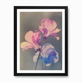 Iridescent Flower Cyclamen 2 Art Print