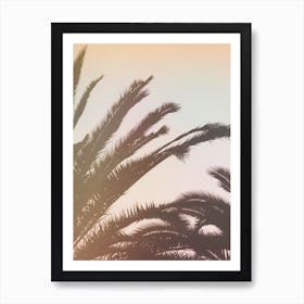 Golden Palms Art Print