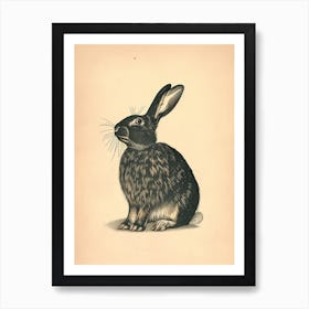 American Sable Blockprint Rabbit Illustration 5 Art Print