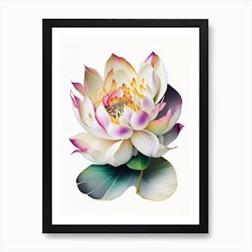 Lotus Flower Petals Decoupage 3 Art Print