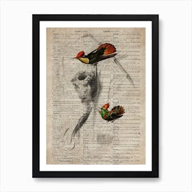 Tufted Neck Humming Bird Dictionnaire Universel Dhistoire Naturelle  Art Print