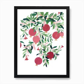 Mediterranean Plant Pomegranate Tree Botanical Painting Art Print