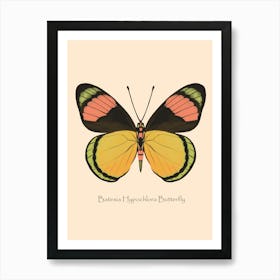 Tropical Butterfly Batesia Hypochlora Affiche