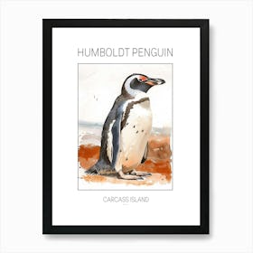 Humboldt Penguin Carcass Island Watercolour Painting 1 Poster Art Print