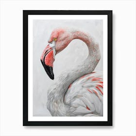 Flamingo 1 Art Print