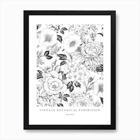 Veronica B&W Vintage Botanical Poster Art Print