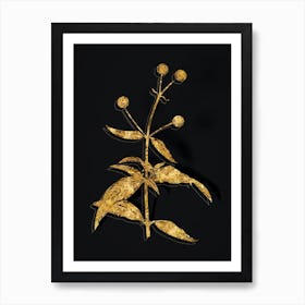 Vintage Orange Ball Tree Botanical in Gold on Black Art Print