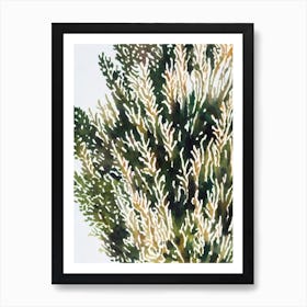 Acropora Millepora Ssp Efflorescens 2 Vintage Graphic Watercolour Poster