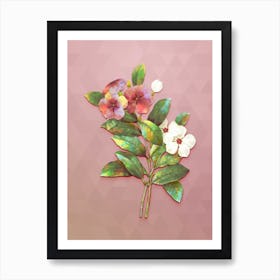 Vintage Periwinkle Botanical Art on Crystal Rose n.0646 Art Print