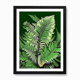 Lady Fern 2 Vintage Botanical Poster Art Print