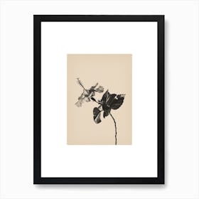 Nature Mix And Match 11 Art Print