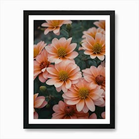 Dahlias 1 Art Print