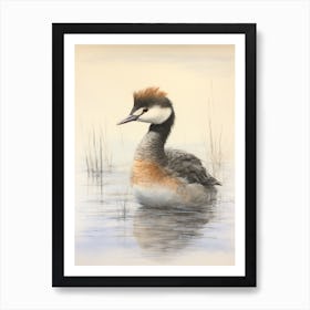 Vintage Bird Drawing Grebe 1 Art Print