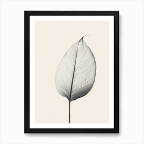 Lines Leaf Art Print