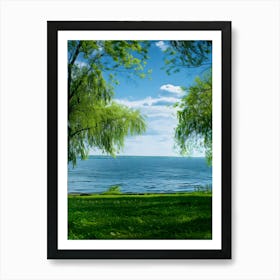 Willow Trees By The Lake Art Print