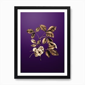 Gold Botanical Common Hoptree on Royal Purple n.4918 Art Print