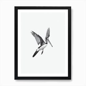 Brown Pelican B&W Pencil Drawing 1 Bird Art Print